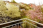 Unser Höchberghaus